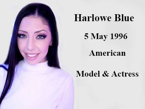 Harlowe Blue Wiki